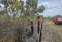 Tim gabungan melakukan penyemprotan air untuk memadamkan api di lokasi kebakaran lahan di Kabupaten Penajam Paser Utara, Provinsi Kalimantan Timur. (Dok. BPBD Kabupaten Penajam Paser Utara)