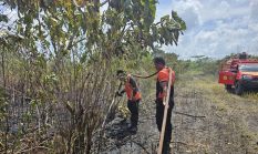 Kebakaran Lahan Meningkat Tajam, Kalimantan Jadi Titik Api Krisis Iklim