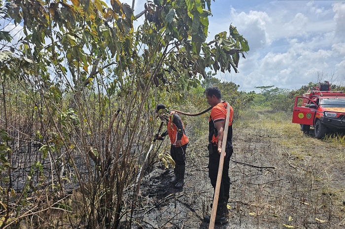 Tim gabungan melakukan penyemprotan air untuk memadamkan api di lokasi kebakaran lahan di Kabupaten Penajam Paser Utara, Provinsi Kalimantan Timur. (Dok. BPBD Kabupaten Penajam Paser Utara)