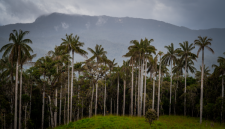 Hamparan hijau Pegunungan Meratus yang diselimuti kabut pagi, memperlihatkan keasrian hutan tropis Kalimantan yang menjadi rumah bagi masyarakat adat Dayak. Pemandangan ini menanti para penjelajah yang mencari pengalaman otentik di alam.