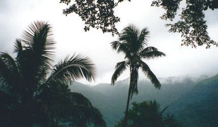 Meratus: Nafas Terakhir Hutan Pegunungan Borneo yang Kian Terancam