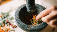 Berbagai jenis tumbuhan dan rempah-rempah yang menjadi bahan dasar utama dalam pembuatan obat tradisional Banjar, mencerminkan kekayaan alam Kalimantan yang dimanfaatkan untuk kesehatan. Bahan-bahan alami ini diproses dengan kearifan lokal untuk menghasilkan ramuan berkhasiat.
