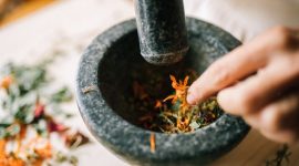 Berbagai jenis tumbuhan dan rempah-rempah yang menjadi bahan dasar utama dalam pembuatan obat tradisional Banjar, mencerminkan kekayaan alam Kalimantan yang dimanfaatkan untuk kesehatan. Bahan-bahan alami ini diproses dengan kearifan lokal untuk menghasilkan ramuan berkhasiat.
