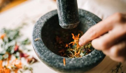 Meramu Warisan Leluhur: Kisah Obat Tradisional Banjar yang Abadi