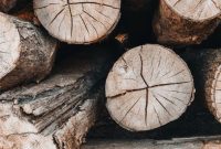 Potongan kayu bajakah yang sudah dikeringkan, siap direbus untuk diambil airnya sebagai ramuan obat tradisional. Tumbuhan endemik Kalimantan ini memiliki batang kuat berwarna kecoklatan yang dipercaya menyimpan beragam khasiat kesehatan.