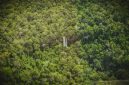 Air terjun Mandin Mangapan yang bertingkat-tingkat di Hutan Pegunungan Meratus, Kalimantan Selatan, menunjukkan keindahan alam yang masih asri, dengan latar belakang pepohonan rimbun yang menjadi rumah bagi keanekaragaman hayati unik.