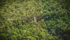 Air terjun Mandin Mangapan yang bertingkat-tingkat di Hutan Pegunungan Meratus, Kalimantan Selatan, menunjukkan keindahan alam yang masih asri, dengan latar belakang pepohonan rimbun yang menjadi rumah bagi keanekaragaman hayati unik.