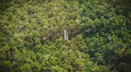 Air terjun Mandin Mangapan yang bertingkat-tingkat di Hutan Pegunungan Meratus, Kalimantan Selatan, menunjukkan keindahan alam yang masih asri, dengan latar belakang pepohonan rimbun yang menjadi rumah bagi keanekaragaman hayati unik.