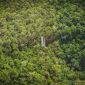 Air terjun Mandin Mangapan yang bertingkat-tingkat di Hutan Pegunungan Meratus, Kalimantan Selatan, menunjukkan keindahan alam yang masih asri, dengan latar belakang pepohonan rimbun yang menjadi rumah bagi keanekaragaman hayati unik.