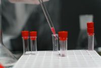 Seorang peneliti memeriksa sampel kayu bajakah di laboratorium, bagian dari upaya ilmiah untuk mengidentifikasi senyawa aktif dan menguji potensi khasiatnya sebagai agen kesehatan alami. Gambar ini menunjukkan dedikasi para ilmuwan dalam mengungkap misteri ramuan tradisional dari hutan tropis Kalimantan.