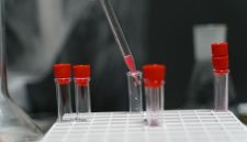 Seorang peneliti memeriksa sampel kayu bajakah di laboratorium, bagian dari upaya ilmiah untuk mengidentifikasi senyawa aktif dan menguji potensi khasiatnya sebagai agen kesehatan alami. Gambar ini menunjukkan dedikasi para ilmuwan dalam mengungkap misteri ramuan tradisional dari hutan tropis Kalimantan.
