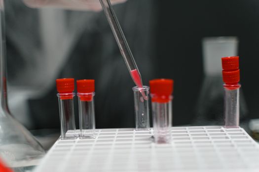 Seorang peneliti memeriksa sampel kayu bajakah di laboratorium, bagian dari upaya ilmiah untuk mengidentifikasi senyawa aktif dan menguji potensi khasiatnya sebagai agen kesehatan alami. Gambar ini menunjukkan dedikasi para ilmuwan dalam mengungkap misteri ramuan tradisional dari hutan tropis Kalimantan.