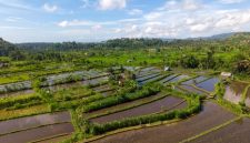 Seorang pengrajin batik sedang tekun mengukir motif pada kain, menunjukkan dedikasi terhadap warisan budaya Indonesia yang kaya. Proses manual ini tidak hanya menghasilkan karya seni, tetapi juga menyimpan nilai-nilai filosofis dan ketenangan batin.