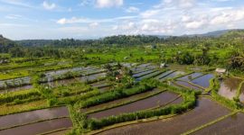 Seorang pengrajin batik sedang tekun mengukir motif pada kain, menunjukkan dedikasi terhadap warisan budaya Indonesia yang kaya. Proses manual ini tidak hanya menghasilkan karya seni, tetapi juga menyimpan nilai-nilai filosofis dan ketenangan batin.