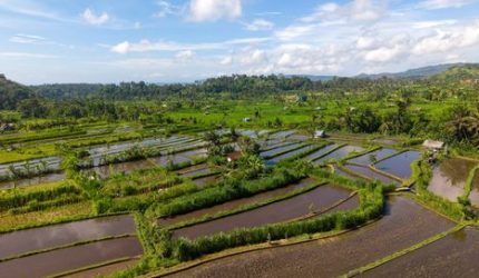 Pesona Lokal: Menjelajahi Kebahagiaan Otentik di Tengah Arus Modernisasi