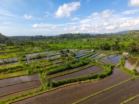 Seorang pengrajin batik sedang tekun mengukir motif pada kain, menunjukkan dedikasi terhadap warisan budaya Indonesia yang kaya. Proses manual ini tidak hanya menghasilkan karya seni, tetapi juga menyimpan nilai-nilai filosofis dan ketenangan batin.