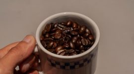Deretan biji kopi yang dijemur di bawah sinar matahari Indonesia, menampilkan proses pengeringan alami yang menjadi bagian penting dari penentuan cita rasa khas kopi Nusantara. Pemandangan ini merefleksikan kerja keras petani serta kekayaan alam yang melahirkan kopi-kopi berkualitas tinggi dari bumi pertiwi.