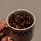 Deretan biji kopi yang dijemur di bawah sinar matahari Indonesia, menampilkan proses pengeringan alami yang menjadi bagian penting dari penentuan cita rasa khas kopi Nusantara. Pemandangan ini merefleksikan kerja keras petani serta kekayaan alam yang melahirkan kopi-kopi berkualitas tinggi dari bumi pertiwi.