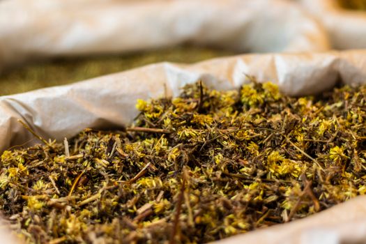 Seorang wanita Dayak tengah meracik ramuan herbal tradisional, menunjukkan dedikasi dan kearifan lokal dalam menjaga warisan pengobatan nenek moyang mereka. Proses ini menjadi bagian penting dari upaya melestarikan pengetahuan turun-temurun tentang manfaat tanaman hutan Kalimantan.