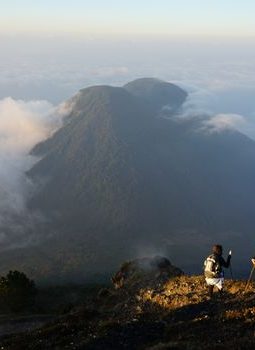 Sensasi Menggapai Puncak Halau: Petualangan Menembus Rimba Kalimantan