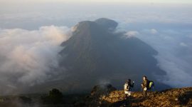 Pemandangan matahari terbit yang memukau dari Puncak Gunung Halau, memperlihatkan hamparan awan di bawah kaki dan keindahan alam Kalimantan yang masih asri. Panorama ini menjadi hadiah terindah setelah perjuangan mendaki melewati rimbunnya hutan tropis.