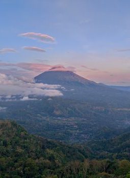 Menaklukkan Puncak Halau: Petualangan Menggapai Atap Sumatera Barat