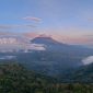 Pemandangan matahari terbit yang memukau dari Puncak Gunung Halau, memperlihatkan lautan awan yang membentang luas di bawahnya, menjadi hadiah bagi para pendaki yang berhasil mencapai titik tertinggi Sumatera Barat ini. Keindahan alam yang menenangkan ini menawarkan pengalaman spiritual yang mendalam.