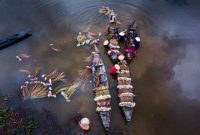 Pemandangan udara Sungai Barito yang membelah lanskap hijau Kalimantan, menunjukkan keindahan alami dan vitalitasnya sebagai jalur kehidupan utama bagi masyarakat di sekitarnya. Perahu-perahu tradisional terlihat berlayar tenang, menggambarkan harmoni antara manusia dan alam di tepian sungai yang megah ini.