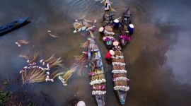 Pemandangan udara Sungai Barito yang membelah lanskap hijau Kalimantan, menunjukkan keindahan alami dan vitalitasnya sebagai jalur kehidupan utama bagi masyarakat di sekitarnya. Perahu-perahu tradisional terlihat berlayar tenang, menggambarkan harmoni antara manusia dan alam di tepian sungai yang megah ini.