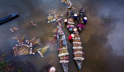 Mengarungi Barito: Napas Kehidupan Kalimantan yang Tak Lekang Waktu