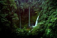 Pemandangan hijau membentang Pegunungan Meratus dari ketinggian, memperlihatkan hutan lebat yang menjadi paru-paru penting bagi pulau Kalimantan. Hamparan pepohonan ini adalah rumah bagi keanekaragaman hayati dan masyarakat adat yang menjaga tradisi kuno mereka.