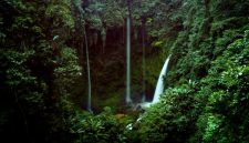 Pemandangan hijau membentang Pegunungan Meratus dari ketinggian, memperlihatkan hutan lebat yang menjadi paru-paru penting bagi pulau Kalimantan. Hamparan pepohonan ini adalah rumah bagi keanekaragaman hayati dan masyarakat adat yang menjaga tradisi kuno mereka.