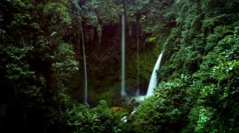 Pemandangan hijau membentang Pegunungan Meratus dari ketinggian, memperlihatkan hutan lebat yang menjadi paru-paru penting bagi pulau Kalimantan. Hamparan pepohonan ini adalah rumah bagi keanekaragaman hayati dan masyarakat adat yang menjaga tradisi kuno mereka.