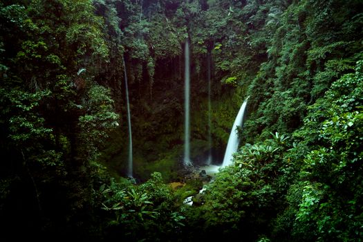 Pemandangan hijau membentang Pegunungan Meratus dari ketinggian, memperlihatkan hutan lebat yang menjadi paru-paru penting bagi pulau Kalimantan. Hamparan pepohonan ini adalah rumah bagi keanekaragaman hayati dan masyarakat adat yang menjaga tradisi kuno mereka.