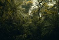Seorang pendaki berjalan melintasi jalur licin yang diselimuti akar pohon besar dan lumut tebal di kawasan hutan pegunungan Meratus menuju Puncak Halau-Halau, Kalimantan Selatan, menunjukkan tantangan medan yang harus dihadapi.