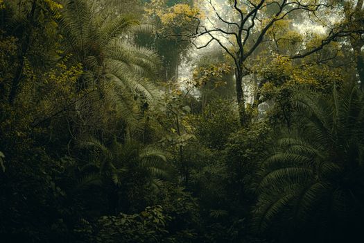 Seorang pendaki berjalan melintasi jalur licin yang diselimuti akar pohon besar dan lumut tebal di kawasan hutan pegunungan Meratus menuju Puncak Halau-Halau, Kalimantan Selatan, menunjukkan tantangan medan yang harus dihadapi.