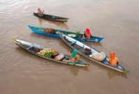 Suasana pagi hari yang semarak di salah satu pasar terapung Indonesia, menampilkan perahu-perahu tradisional yang sarat dengan aneka hasil bumi dan kuliner, siap melayani para pembeli. Interaksi unik ini menggambarkan kekayaan budaya dan kearifan lokal masyarakat sungai.