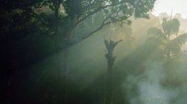 Pemandangan menakjubkan hutan Pegunungan Meratus yang hijau dan lebat, menunjukkan keindahan alam tropis yang masih alami di Kalimantan Selatan. Hutan ini menjadi rumah bagi beragam flora dan fauna endemik, serta masyarakat adat yang menjaga tradisi.