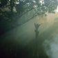 Pemandangan menakjubkan hutan Pegunungan Meratus yang hijau dan lebat, menunjukkan keindahan alam tropis yang masih alami di Kalimantan Selatan. Hutan ini menjadi rumah bagi beragam flora dan fauna endemik, serta masyarakat adat yang menjaga tradisi.