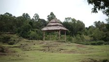 Makam Datu Mabrur di Teluk Kepayang, Kalimantan Selatan, menjadi pusat ziarah yang tak pernah sepi. Tempat ini merupakan situs penting yang merefleksikan jejak dakwah dan kearifan seorang ulama besar di tanah Borneo.