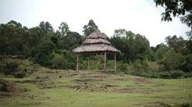 Makam Datu Mabrur di Teluk Kepayang, Kalimantan Selatan, menjadi pusat ziarah yang tak pernah sepi. Tempat ini merupakan situs penting yang merefleksikan jejak dakwah dan kearifan seorang ulama besar di tanah Borneo.
