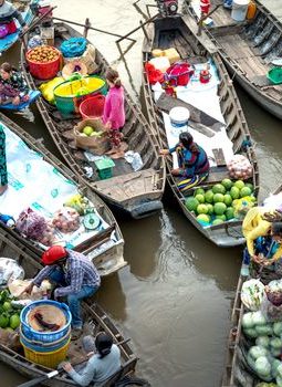 Barito: Jantung Kalimantan yang Terus Berdenyut dalam Pusaran Perubahan