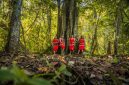 Seorang tetua adat suku Dayak berjalan di antara rimbunnya pepohonan hutan Kalimantan yang masih lestari, melambangkan kearifan lokal dan hubungan mendalam antara manusia dengan alam yang dijaga turun-temurun. Pemandangan ini mengingatkan kita pada kisah-kisah para leluhur seperti Datu Mabrur yang mengajarkan pentingnya menjaga bumi.