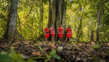 Seorang tetua adat suku Dayak berjalan di antara rimbunnya pepohonan hutan Kalimantan yang masih lestari, melambangkan kearifan lokal dan hubungan mendalam antara manusia dengan alam yang dijaga turun-temurun. Pemandangan ini mengingatkan kita pada kisah-kisah para leluhur seperti Datu Mabrur yang mengajarkan pentingnya menjaga bumi.