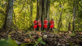 Seorang tetua adat suku Dayak berjalan di antara rimbunnya pepohonan hutan Kalimantan yang masih lestari, melambangkan kearifan lokal dan hubungan mendalam antara manusia dengan alam yang dijaga turun-temurun. Pemandangan ini mengingatkan kita pada kisah-kisah para leluhur seperti Datu Mabrur yang mengajarkan pentingnya menjaga bumi.