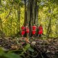 Seorang tetua adat suku Dayak berjalan di antara rimbunnya pepohonan hutan Kalimantan yang masih lestari, melambangkan kearifan lokal dan hubungan mendalam antara manusia dengan alam yang dijaga turun-temurun. Pemandangan ini mengingatkan kita pada kisah-kisah para leluhur seperti Datu Mabrur yang mengajarkan pentingnya menjaga bumi.