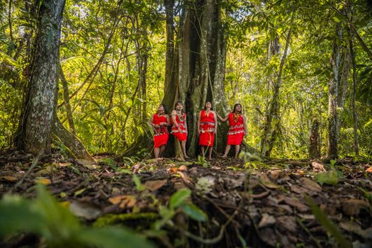 Seorang tetua adat suku Dayak berjalan di antara rimbunnya pepohonan hutan Kalimantan yang masih lestari, melambangkan kearifan lokal dan hubungan mendalam antara manusia dengan alam yang dijaga turun-temurun. Pemandangan ini mengingatkan kita pada kisah-kisah para leluhur seperti Datu Mabrur yang mengajarkan pentingnya menjaga bumi.