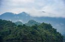 Pemandangan lautan awan dari puncak Gunung Halau-Halau yang menakjubkan, memperlihatkan hamparan hutan tropis Kalimantan yang masih sangat terjaga keasliannya. Para pendaki dapat menikmati keindahan panorama alam yang luas biasa dari titik tertinggi di Kalimantan Barat ini.