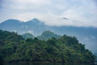 Pemandangan lautan awan dari puncak Gunung Halau-Halau yang menakjubkan, memperlihatkan hamparan hutan tropis Kalimantan yang masih sangat terjaga keasliannya. Para pendaki dapat menikmati keindahan panorama alam yang luas biasa dari titik tertinggi di Kalimantan Barat ini.