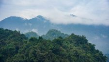 Pemandangan lautan awan dari puncak Gunung Halau-Halau yang menakjubkan, memperlihatkan hamparan hutan tropis Kalimantan yang masih sangat terjaga keasliannya. Para pendaki dapat menikmati keindahan panorama alam yang luas biasa dari titik tertinggi di Kalimantan Barat ini.